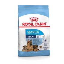 Royal Canin MAXI STARTER MOTHER & BABYDOG 4KG -