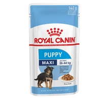 Royal Canin SHN WET MAXI PUPPY (10*140g) -