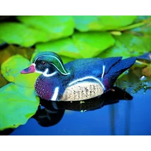 UBBINK Dekor Carolina kacsa hím, 31 cm 