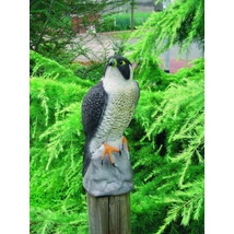 UBBINK Dekor sólyom 