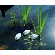 UBBINK Dekor kiskacsa fehér, 12 cm 