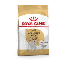 Royal Canin JACK RUSSELL TERRIER ADULT 0,5KG - Royal Canin JACK RUSSELL TERRIER ADULT 0,5KG -
