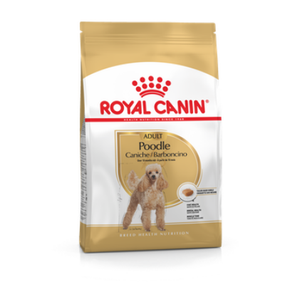 Royal Canin POODLE ADULT 0,5KG -