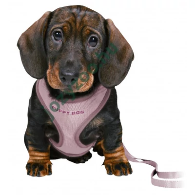 Trixie Junior Puppy Soft Szett Hám+Póráz 26–34 cm/10mm 2m Világoslila .