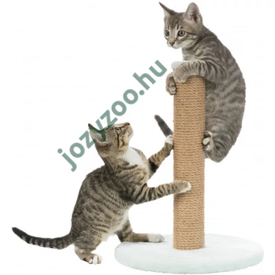 Trixie Kaparófa Kölyökmacskának 42cm Menta .