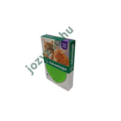 ADVANTAGE 80 CAT/RABBIT 0,8ML 4 db 