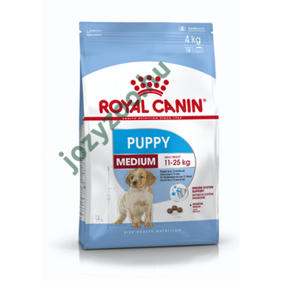 royal puppy medium