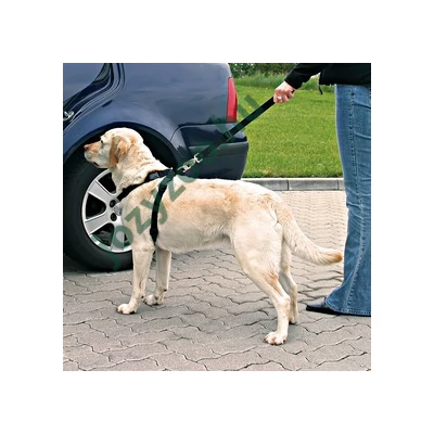 TRIXIE BIZTONSÁGI ÖV HÁM AUTÓBA L 70-90CM .