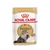 Royal Canin PERSIAN ADULT (12*85g) -
