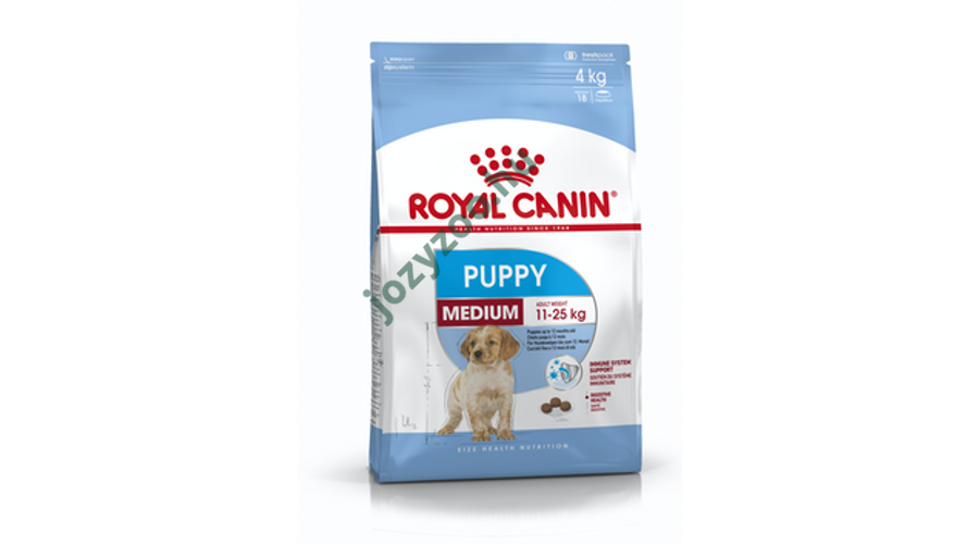 royal puppy medium